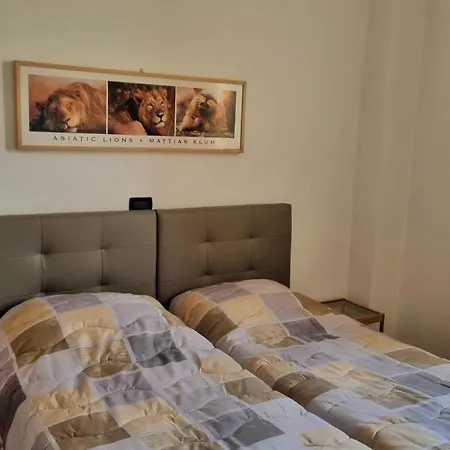 Stanza Con Due Letti Singoli Le Vitterelle